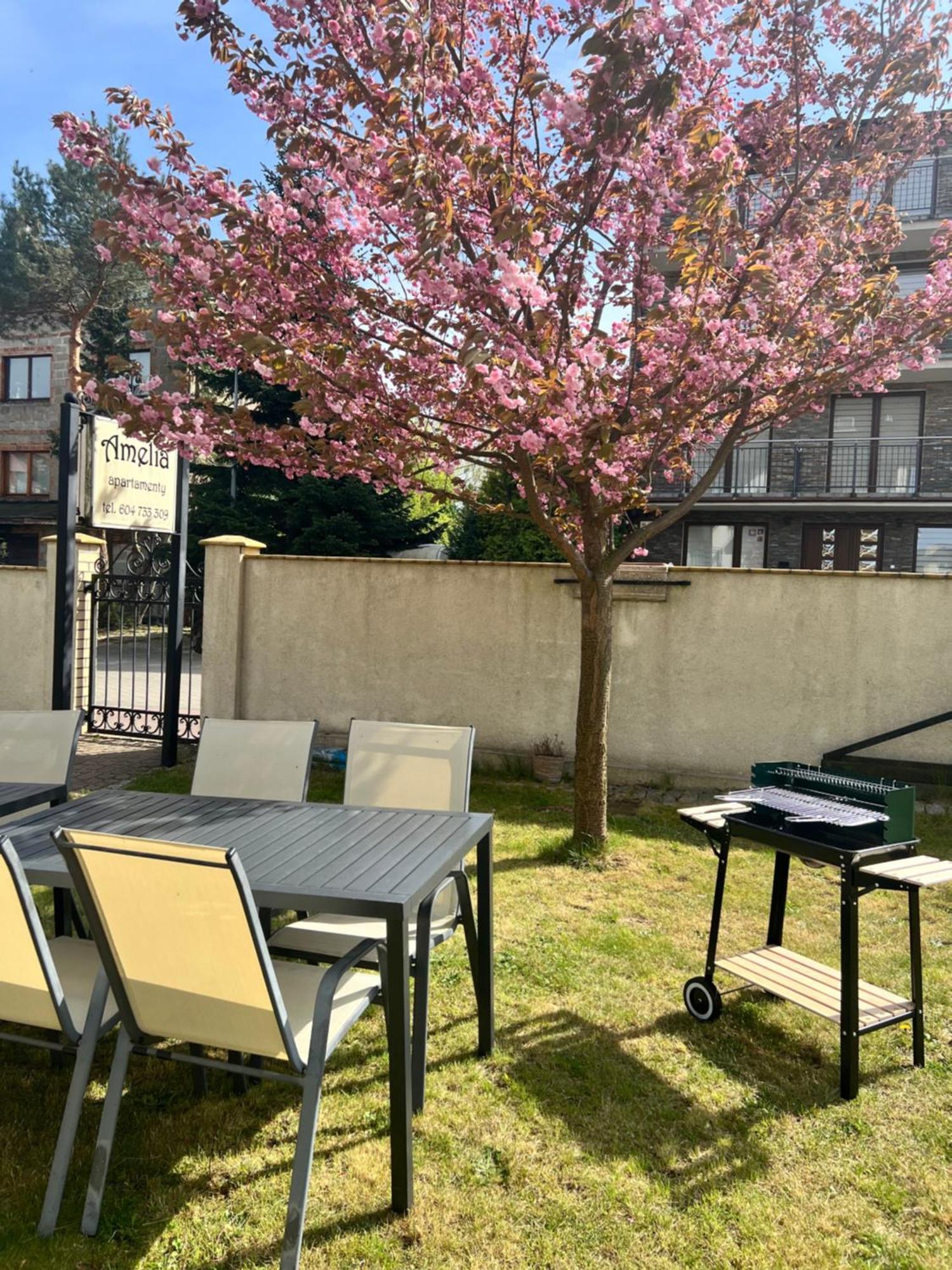 Amelia Apartamenty Wladyslawowo Bagian luar foto