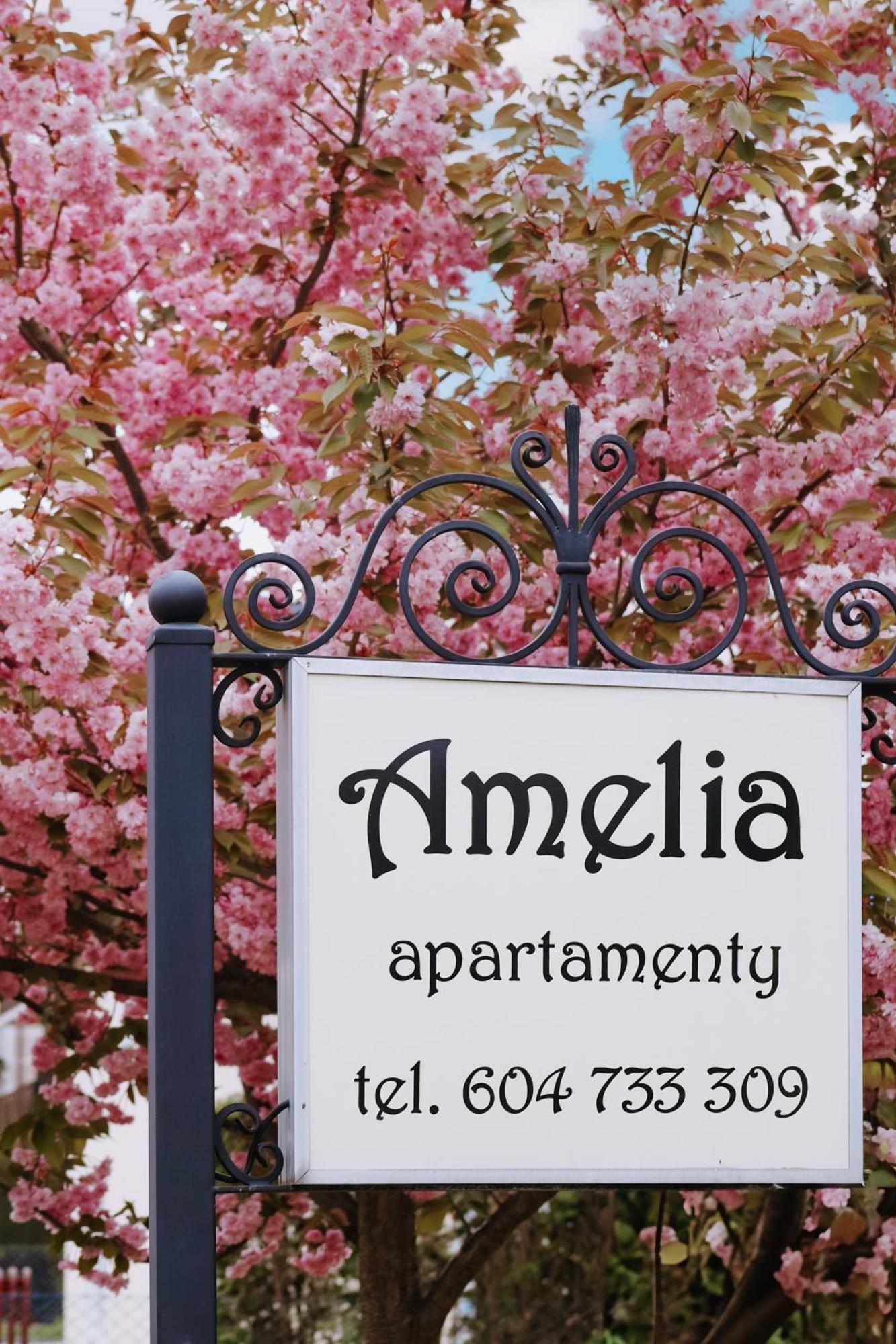 Amelia Apartamenty Wladyslawowo Bagian luar foto