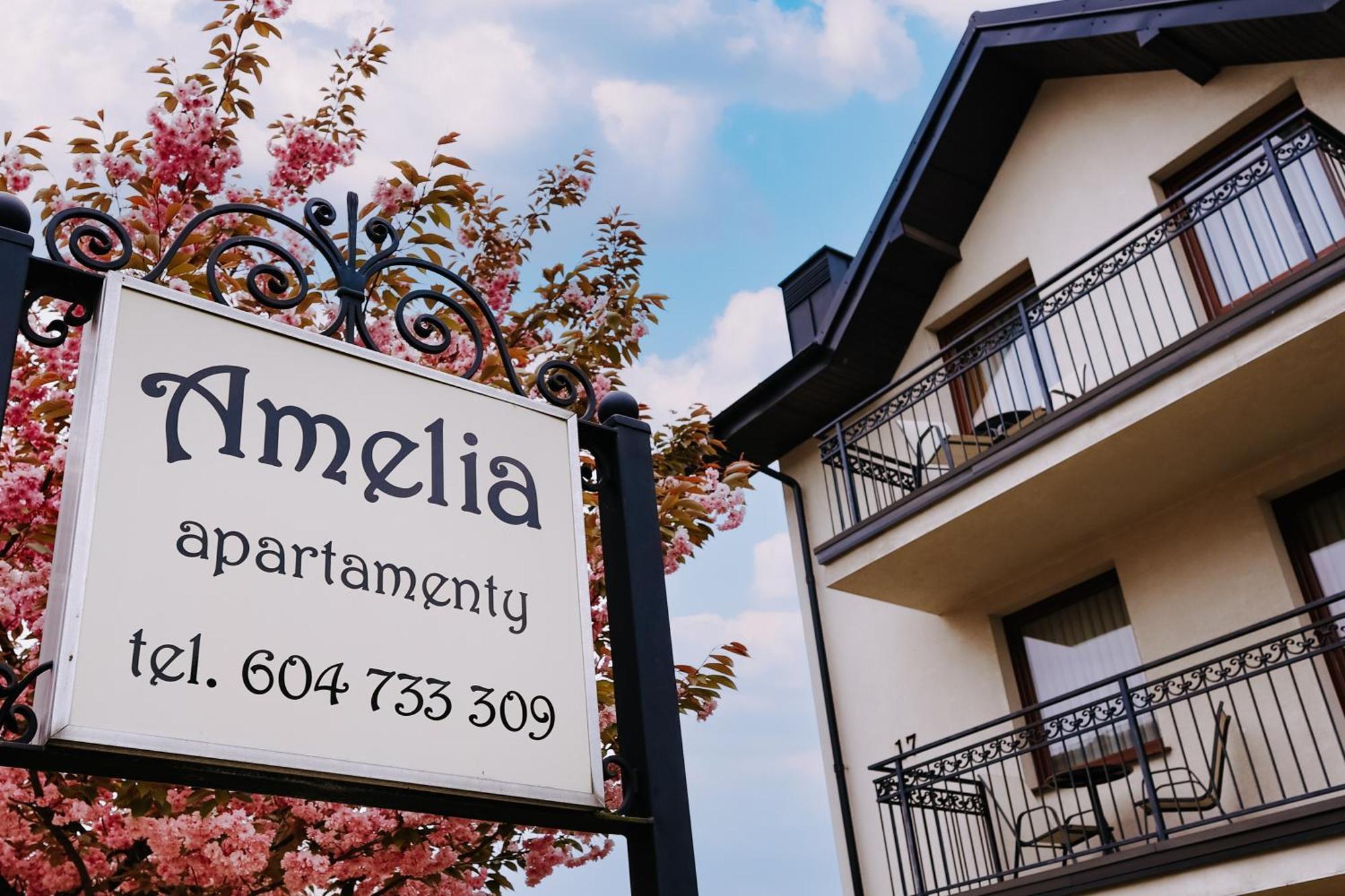 Amelia Apartamenty Wladyslawowo Bagian luar foto