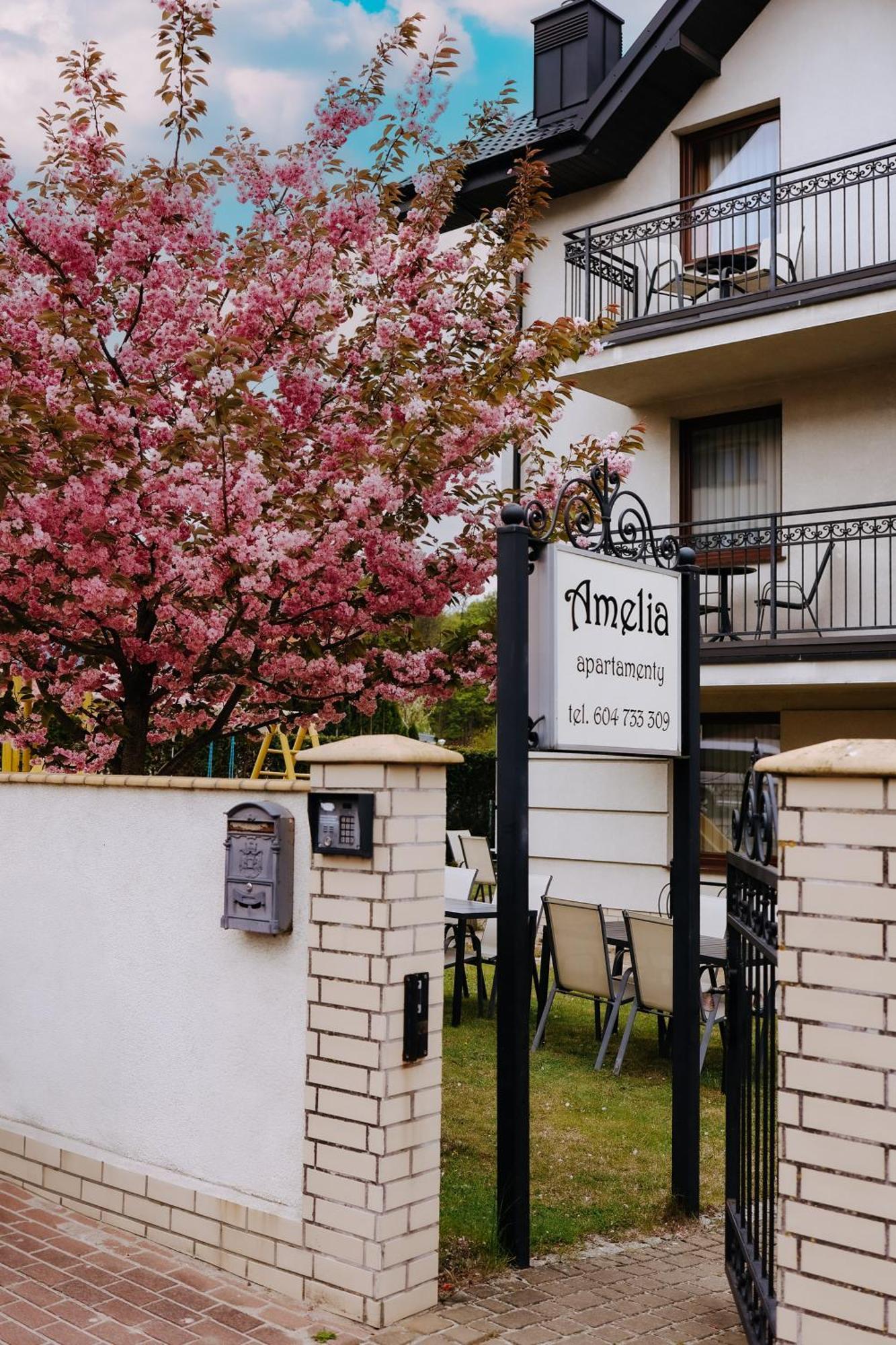Amelia Apartamenty Wladyslawowo Bagian luar foto